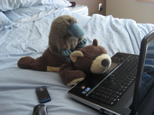 Caboose and Church...they're supposed to be editing my writing, but really they're just looking at Dragon Age wallpapers on my desktop.